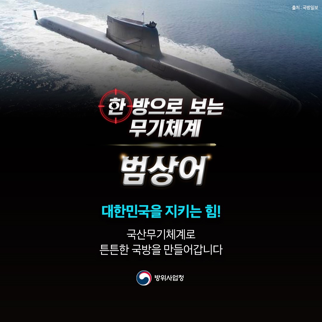 대한민국을 지티는 힘! 국산무기체계로 튼튼한 국방을 만들어갑니다.(6)